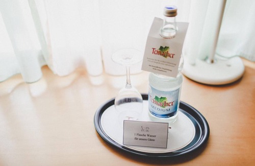 Seckenheim Hotel | Discover Hotel Löwen in Mannheim: Family-Friendly Amenities