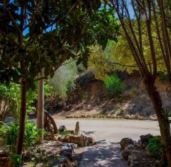 Villasimius Hotel | Cozy Hotel Oleandro: Pet-Friendly Stay with Breakfast Included