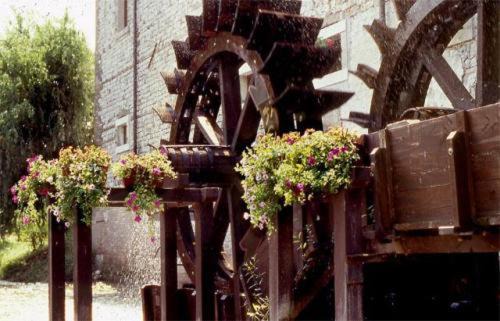 Bannia Hotel | Discover Hotel L'Ultimo Mulino: Pet-Friendly Comfort Awaits