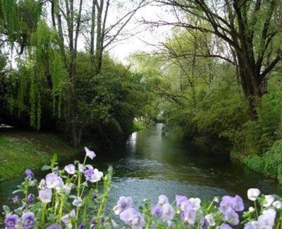 Bannia Hotel | Discover Hotel L'Ultimo Mulino: Pet-Friendly Comfort Awaits