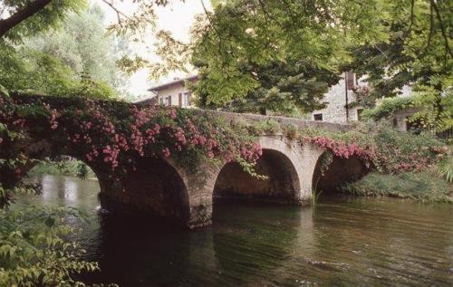 Bannia Hotel | Discover Hotel L'Ultimo Mulino: Pet-Friendly Comfort Awaits
