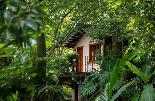 Zacaulpan de Amilpas Hotel | Enchanting Hotel La Casa de los Árboles Oceanfront Retreat