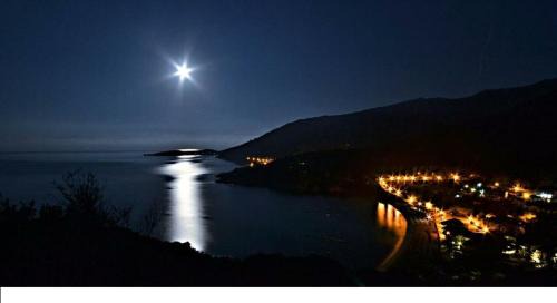 Cavoli Hotel | Oceanfront Bliss at Hotel la Conchiglia - Rated 9/10!