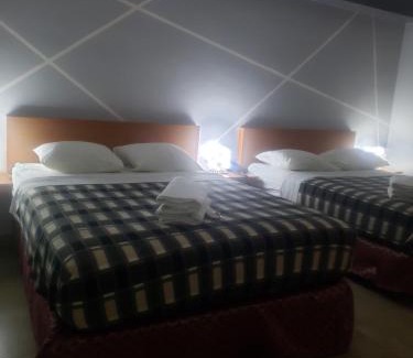 San Diego Hotel | Pet-Friendly Comfort at Hotel La Pequena Valencia