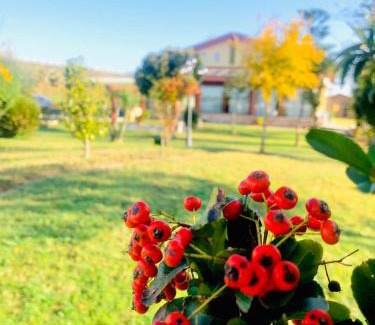 Corigliano Calabro Hotel | Discover Hotel La Primula: Oceanfront, Pet-Friendly Escape
