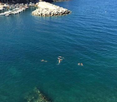 Cerbere Hotel | Oceanfront Retreat at Hotel La Vigie - Guest Rated 8.8/10