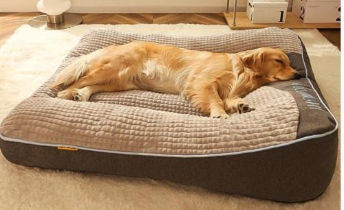 Linas de Broto Hotel | Pet-Friendly Hotel Las Nieves with Top Guest Ratings