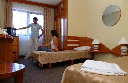 Timisoara Hotel | Budget-Friendly Stay at Hotel Le Baron: Pet & Child Friendly