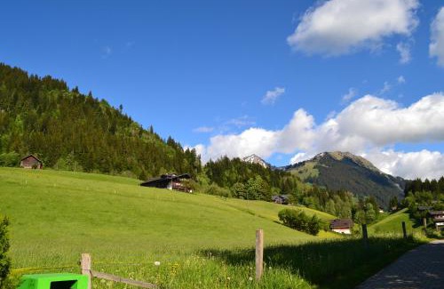 Saanen Hotel | Experience Comfort at Hotel Le Grand Chalet - 4-Star Retreat