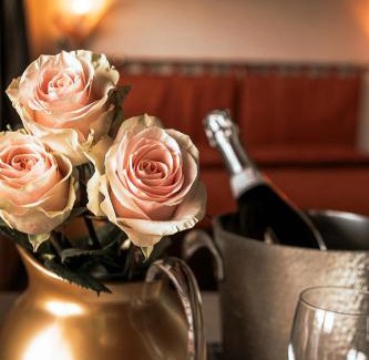 Spresiano Hotel | Pet-Friendly Hotel Liberty with Excellent Guest Ratings