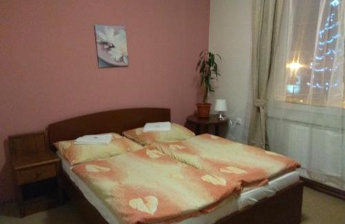 Novy Hrozenkov Hotel | Budget-Friendly Hotel Lidový dům: Pet Friendly & Breakfast
