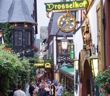 Mainz-Bingen Hotel | Hotel Lindenwirt: Guest-Approved with Pet-Friendly Amenities