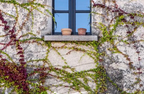 Azzate Hotel | Discover Comfort at Hotel Locanda Dei Mai Intees