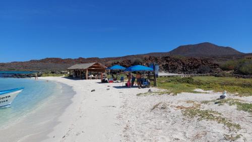 Loreto Hotel | Hotel Loreto Palmar