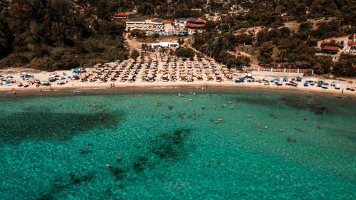 Elia Hotel | Relax at Hotel Makednos with Private Beach & Pool Access
