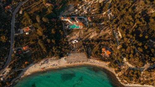 Elia Hotel | Relax at Hotel Makednos with Private Beach & Pool Access