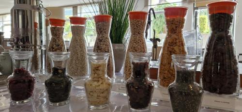 Markkleeberg Hotel | Relax at Hotel Markkleeberger Hof with Pet-Friendly Amenities