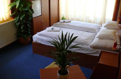 Alsóörs Hotel | Experience Comfort at Hotel Mayer Alsóörs with Ocean Views