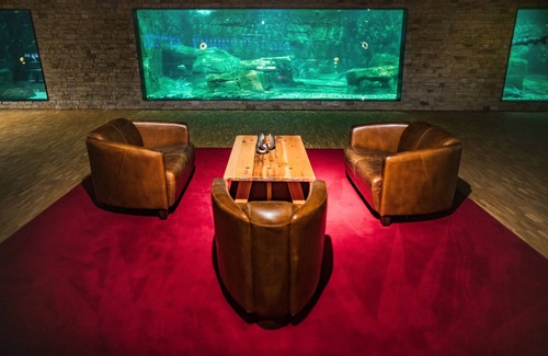 Langenthal Hotel | Discover Hotel Meilenstein: Eco-Friendly 4-Star Retreat