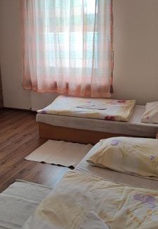 Kaluza Hotel | Discover Hotel Merkur: Family-Friendly with Cozy Amenities