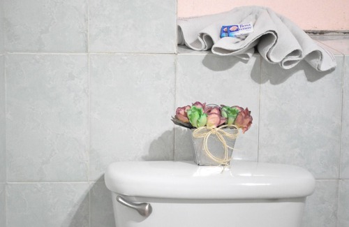 Irapuato Hotel | Relax at Hotel Metropolitan I: Family-Friendly Spa Retreat
