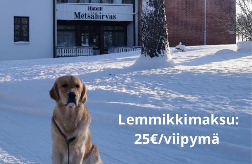 Rovaniemi Hotel | Hotel Metsähirvas: Oceanfront Retreat with Private Beach