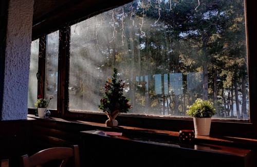 Livadi Hotel | Discover Hotel Mitikas: Family-Friendly & Breakfast Included