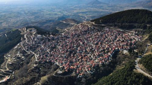 Servia Hotel | Discover Hotel Mitikas: Pet-Friendly with Top Reviews