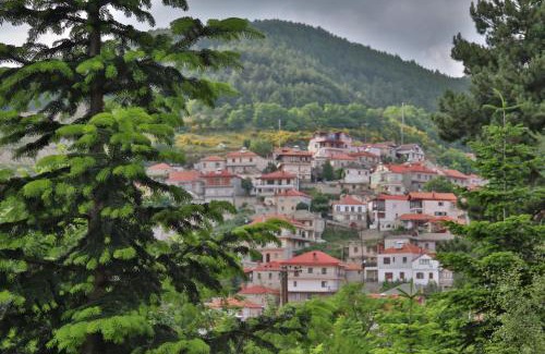 Servia Hotel | Discover Hotel Mitikas: Pet-Friendly with Top Reviews