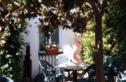 Canet de Mar Hotel | Pet-Friendly Hotel Mitus with Oceanfront Views