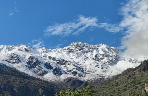 Sangla Hotel | Welcoming Hotel Mount Kailash: Family-Friendly with Dining