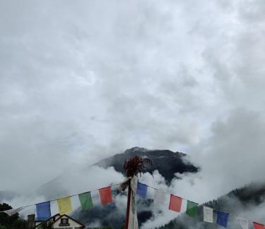 Sangla Hotel | Welcoming Hotel Mount Kailash: Family-Friendly with Dining