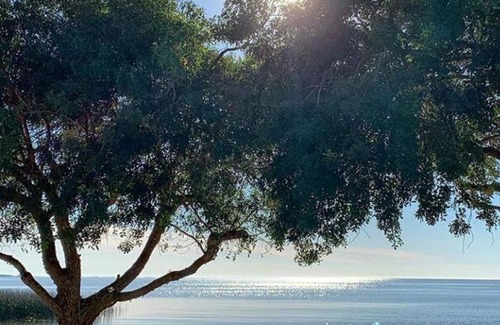 Sao Lourenco do Sul Hotel | Discover Hotel Muralha: Family-Friendly Retreat Awaits