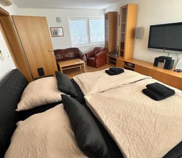 Juh Hotel | Discover Hotel Muza: Family and Pet-Friendly Stay Awaits