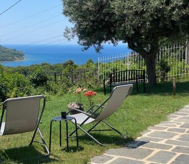Agropoli Hotel | Discover HOTEL MYRTUS: Oceanfront Haven with Pool & Hot Tub