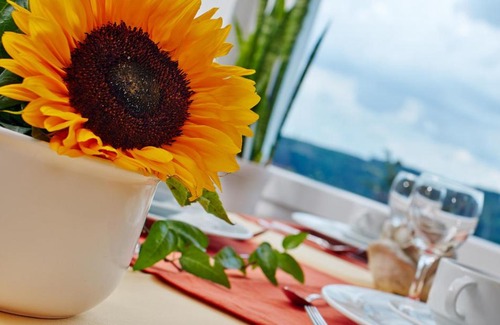Langscheid Hotel | Comfortable Stays at Hotel N51 - Explore Sorpesee Today