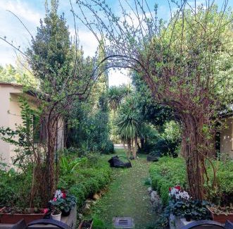 Pisa City Centre Hotel | Discover Hotel Novecento: Pet-Friendly & Family Welcoming
