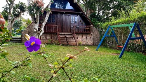 Northeast Region Hotel | Discover Hotel O Alemão: Pool, Breakfast & Family Focused