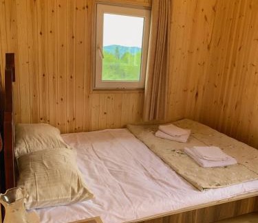 Zeda Gordi House | Pet-Friendly Hotel Okatsia with Top Guest Rating of 9.4