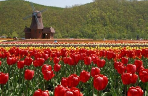 Monbetsu Hotel | Hotel Okhotsk Palace - Vacation STAY 24136v