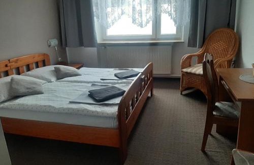 Tarnowskie Gory Hotel | Pet-Friendly Hotel Olimpijski with Family Amenities!