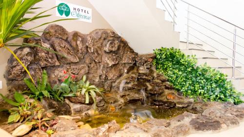 Santuario Hotel | Budget-Friendly Hotel Oliveiras: Family Dining & High Ratings