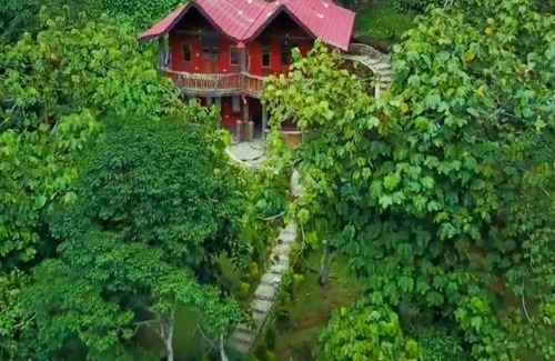 Bukit Lawang Hotel | Discover Hotel Orangutan: Pet-Friendly & Family Friendly Stay