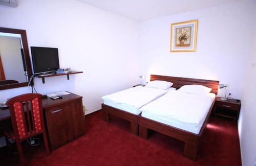 Klenovnik House | Hotel Orion - Single Room with Balcony 1