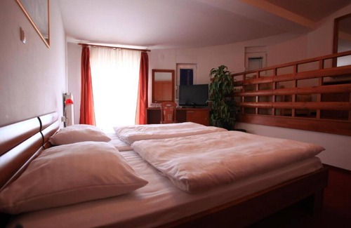 Klenovnik House | Hotel Orion - Single Room with Balcony 1