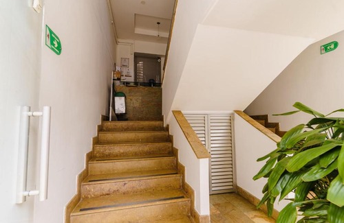 Apartado Hotel | Discover HOTEL OSCAR Tradición: Pet-Friendly Retreat