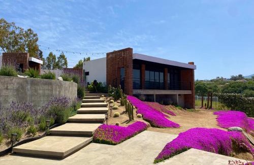 San Antonio de las Minas Hotel | Explore Hotel Otero Valle de Guadalupe: 4-Star Family Retreat