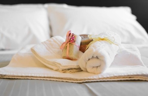 Trecasali Hotel | Discover Comfort at Hotel Padus Meublè with Great Amenities
