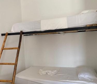 Palomino Hotel | Relaxing Palmares Beach Retreat with Pool and Ocean View