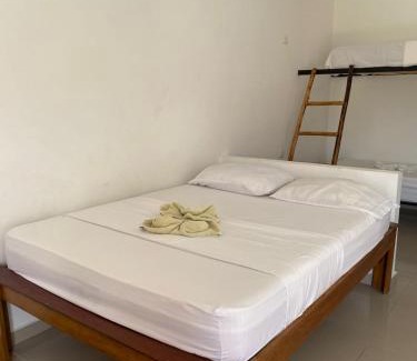 Palomino Hotel | Relaxing Palmares Beach Retreat with Pool and Ocean View